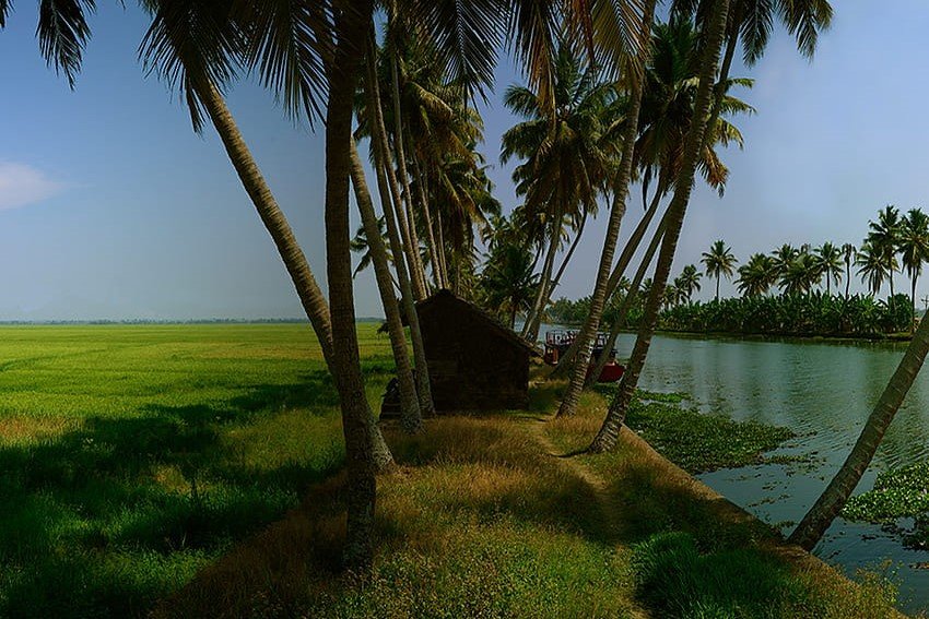 desktop-wallpaper-responsible-tourism-kumarakom-model-backwaters-kerala-india-kerala-culture